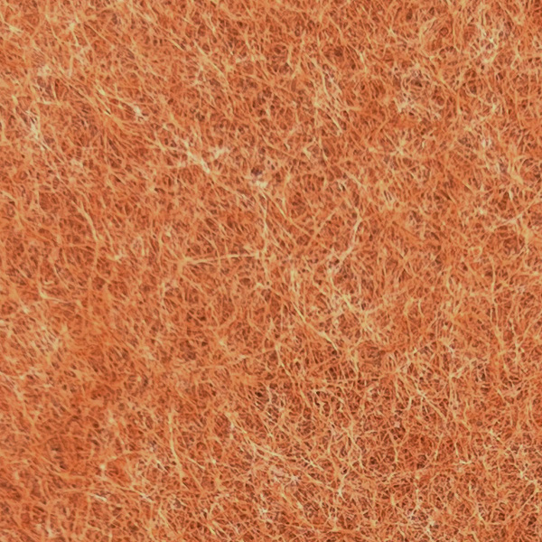 ARE - Amber Earth
